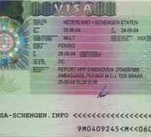 Condițiile vizei Schengen: ceea ce sunt