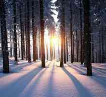 Situații despre iarnă: pentru cei care iubesc zăpada mai multă căldură