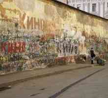 Zidul Tsoi. Arbat, zidul Tsoi. Zidul Tsoi din Sankt Petersburg