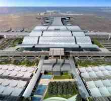 Capitala Qatar Doha: aeroport, terminale și cum să ajungi în oraș
