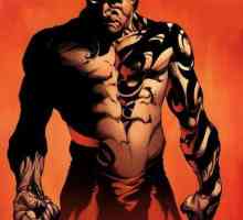 Fiul lui Wolverine Daken (`Marvel`)