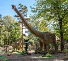 "Secretele lumii" - un parc de dinozauri în `Sokolniki`