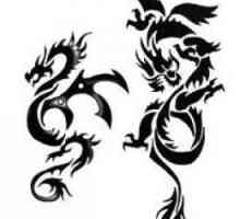 Tatuaj sub forma unui dragon. Tipuri de dragoni (fotografie)