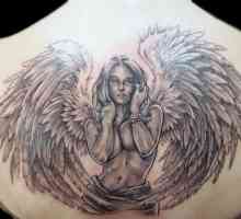 Îngerul tatuaj: sensul unui tatuaj. Angel Wings Tattoo