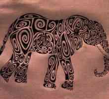 Tatuajul nu este doar un ornament: ce contează un elefan? Tatuaj cu imaginea elefanților din zonă…