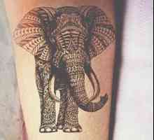 Elemente de tatuaje elefant: Semnificatie