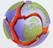 Tectonica este știința a ceea ce? Tectonica globală. Tectonica în arhitectură