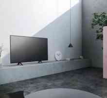 Televiziune Sony KDL-43WE755. Recenzii, specificații și coajă software