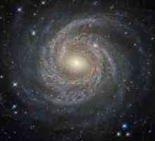 Teorii despre originea universului. Câte teorii există despre originea universului? Teoria Big…