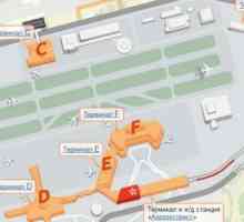 Terminale și schema aeroportului Sheremetyevo