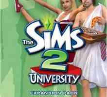 `The Sims 2: University` - coduri și caracteristici