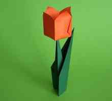 Lalelele Origami: frumoase și elegante