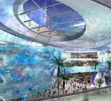 Centrele comerciale din Dubai: Diversitate și feedback