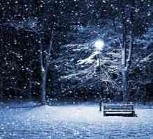 Cel care a văzut zăpada într-un vis este acea persoană fericită?