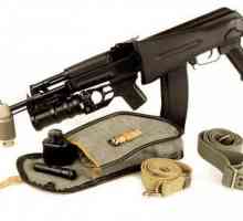 TTX Kalashnikov pușcă de asalt, dispozitiv și scop