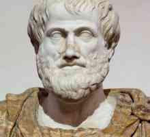 Învățarea sufletului de Aristotel. Conceptul de "suflet". Metafizica lui Aristotel