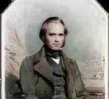 Cercetător Charles Darwin: biografie, teorie și descoperire. Charles Darwin: O scurtă biografie