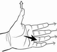 Învățarea de a aplica regula mâinii stângi