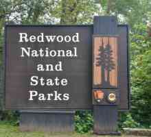 Parcul național unic Redwood, California