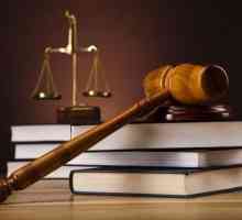 Codul de procedură penală, art. 7: caracteristici și comentarii