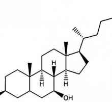 Acid ursodeoxicolic: instrucțiuni de utilizare, analogi, recenzii