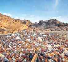Eliminarea deșeurilor biologice - principalele puncte