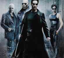 Care este sensul filmului `Matrix`?