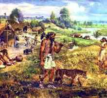 În ce mileniu a apărut agricultura? Care zone ale lumii au fost primele care au început să cultive…