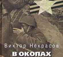 "În tranșele din Stalingrad": rezumat al capitolelor, analiză