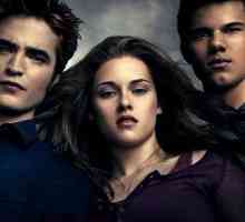 Vampir saga `Twilight`: cărți în ordine