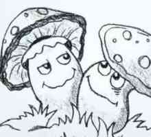 Vă interesează cum să desenați ciuperci?