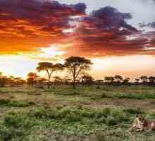 Marele Rift African: o descriere, istorie și fapte interesante