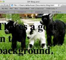 Amenajarea site-ului: cum se face o imagine de fundal în html