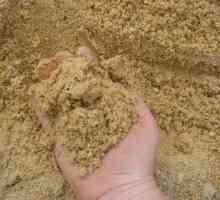 Tipurile de nisip, caracteristicile acestora, extracția și aplicarea