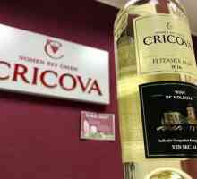 Vinul `Cricova`: istoria uzinei moldovenești și colecția sa. Depozitarea subterană…