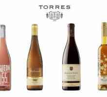 Vinuri "Torres" (Torres). Vinuri spaniole: nume, recenzii
