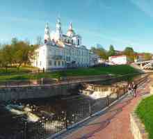 Витебск, население: национальный состав и численность