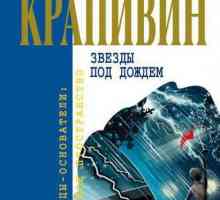 Vladislav Krapivin, "Stele în ploaie" - un rezumat și o analiză a lucrării