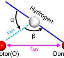 Legătura cu hidrogen: exemple și tipuri de legături chimice