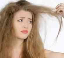 Părul pufos: îngrijire adecvată, potrivire potrivită și remedii