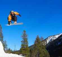 Alegeți un snowboard DC: forma și caracteristicile marcajului