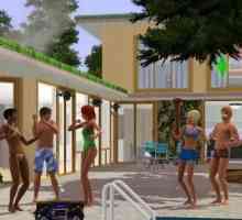 "The Sims 3" zboară - ce să fac? De ce "Syms 3` zboară?
