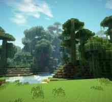 Supraviețuirea în Forest Minecraft: Sfaturi pentru începători