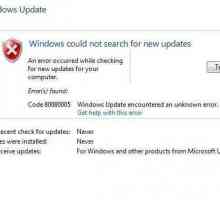 Windows 7, actualizați eroarea 80080005: cum să remediați?