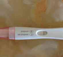 Întârziere 9 zile, testul de sarcină negativ: care ar putea fi motivul?