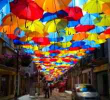 Misterele despre o umbrelă pentru copii și școală