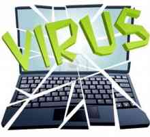 Infecția cu un virus de calculator poate apărea în timpul lucrului cu fișierele?