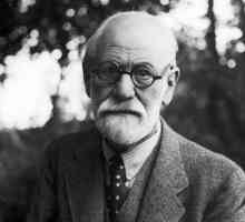 Mecanismele de apărare ale lui Freud cu exemple. Cărți despre psihologie care merită citite