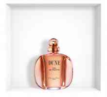Parfum pentru femei `Christian Dior`: recenzie pentru cele mai populare fotografii…