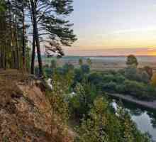 Жиздра (река), Калужская область: описание, характеристики, особенности отдыха и природный мир
